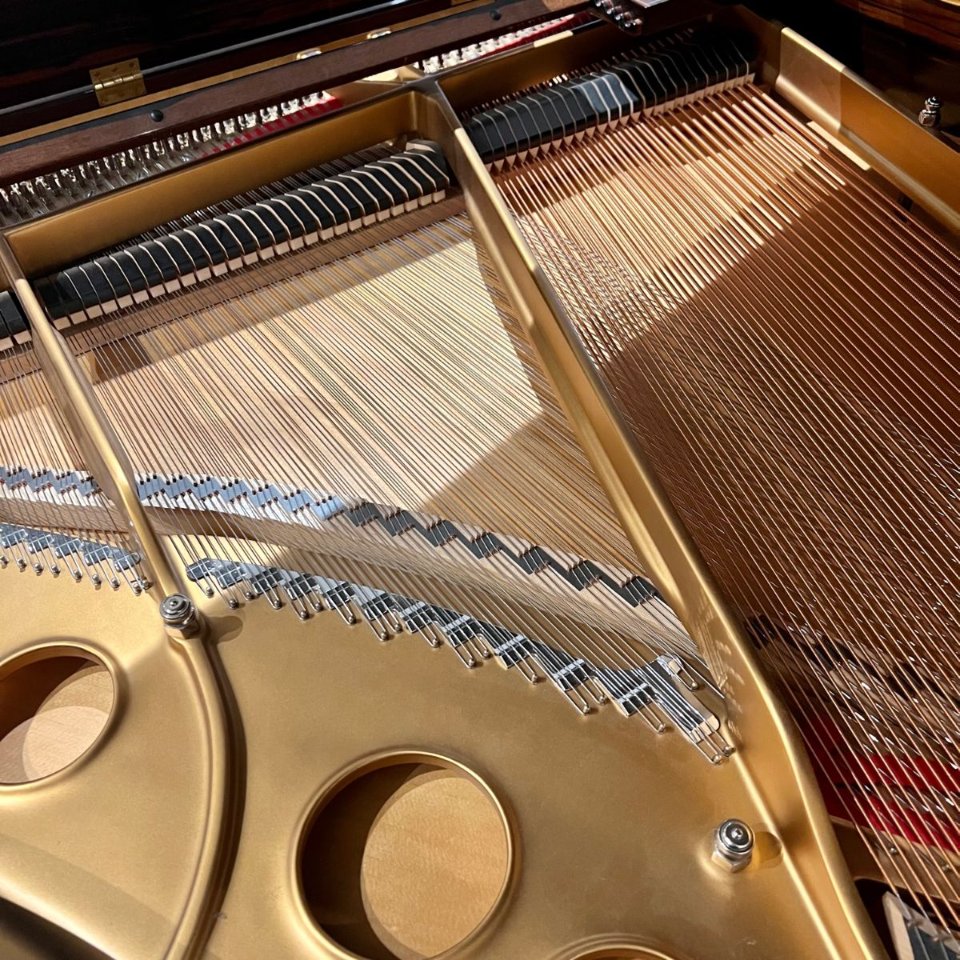 Pre-owned Steinway Groupbuy 翻新施坦威钢琴团购
