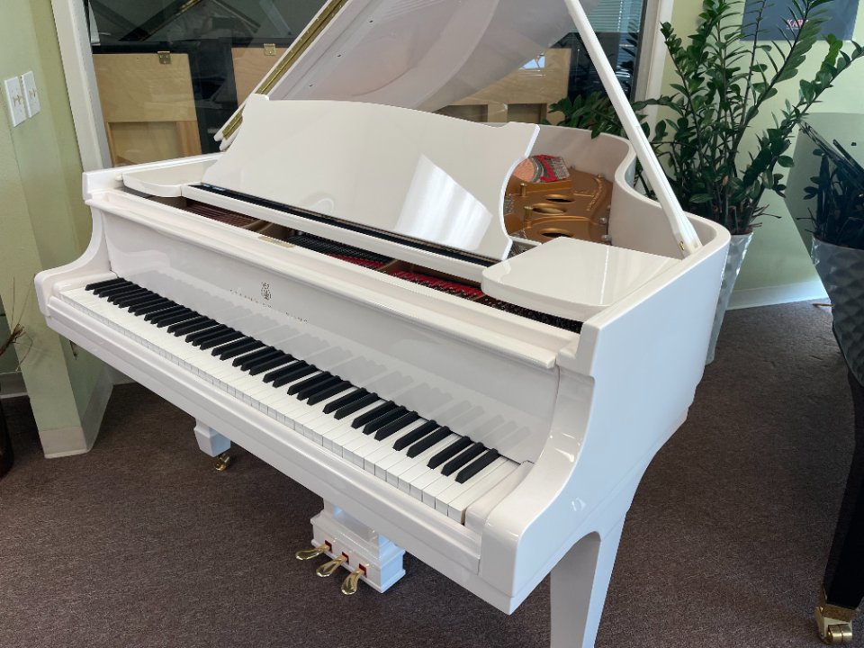 Pre-owned Steinway Groupbuy 翻新施坦威钢琴团购