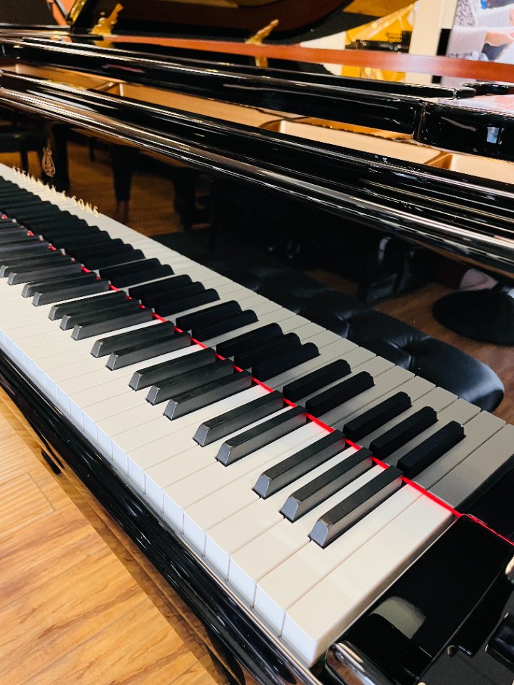 Pre-owned Steinway Groupbuy 翻新施坦威钢琴团购