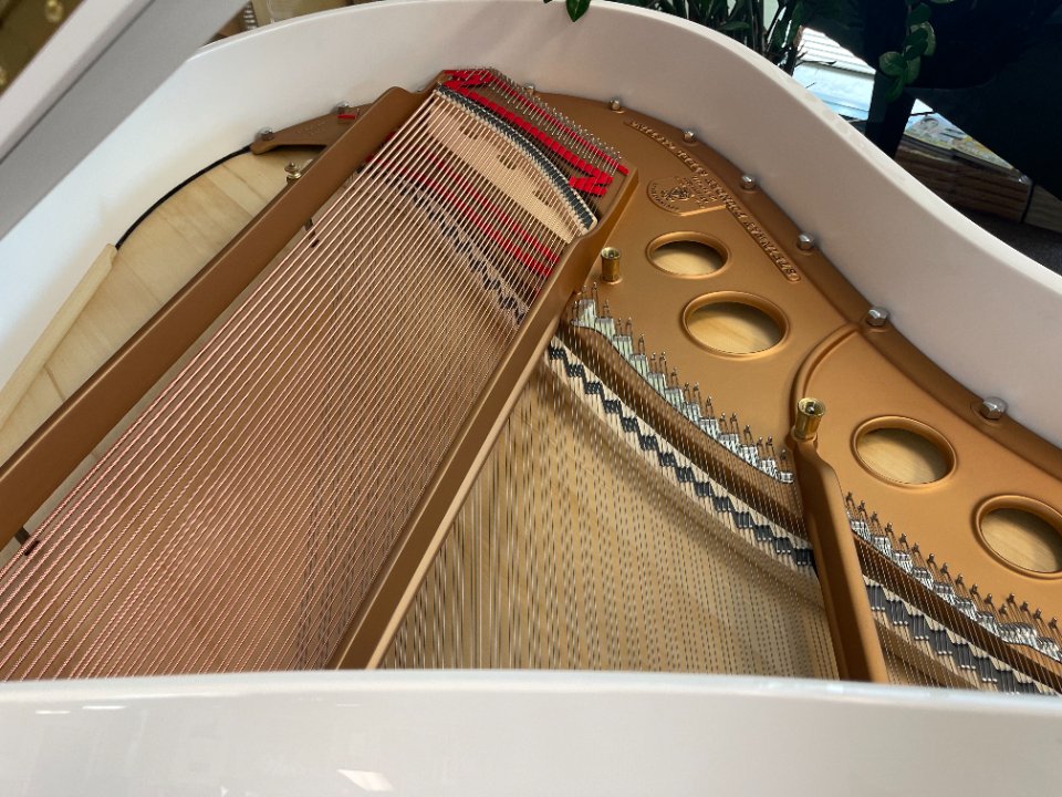Pre-owned Steinway Groupbuy 翻新施坦威钢琴团购