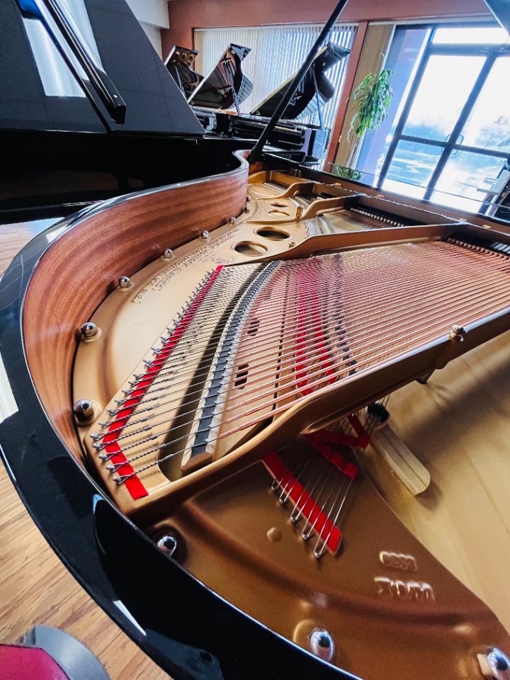 Pre-owned Steinway Groupbuy 翻新施坦威钢琴团购