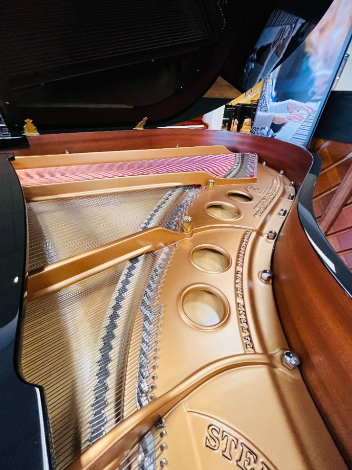 Pre-owned Steinway Groupbuy 翻新施坦威钢琴团购