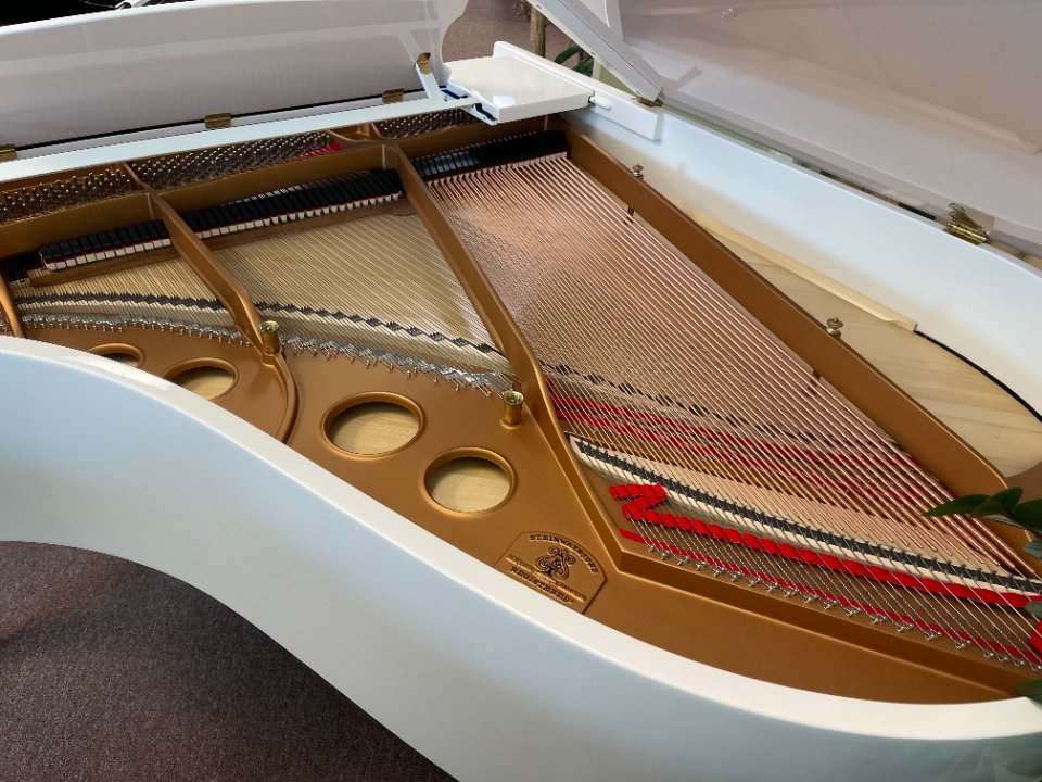 Pre-owned Steinway Groupbuy 翻新施坦威钢琴团购